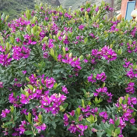 Vivelorural Casa La Cuevita, * 산타 비르지타